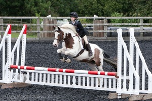 Class 3 -  Fences not above 2'3